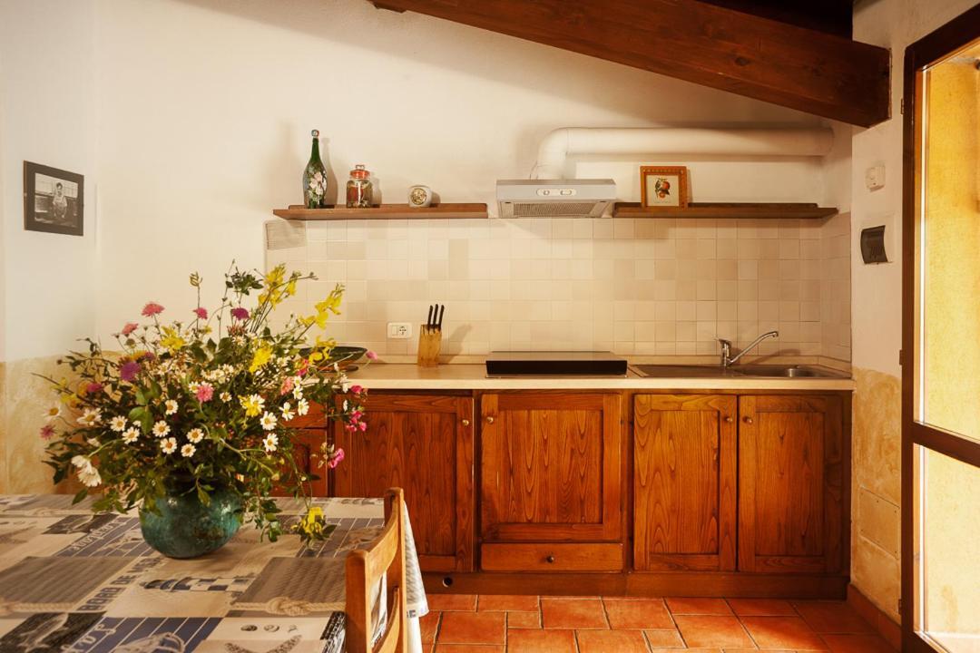 Ribolla Agriturismo Podere Mulinaccio מראה חיצוני תמונה