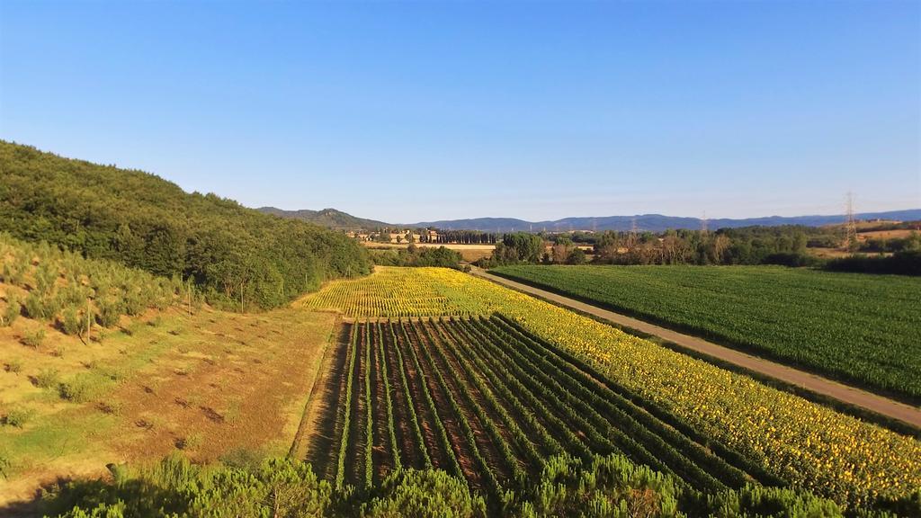 Ribolla Agriturismo Podere Mulinaccio מראה חיצוני תמונה